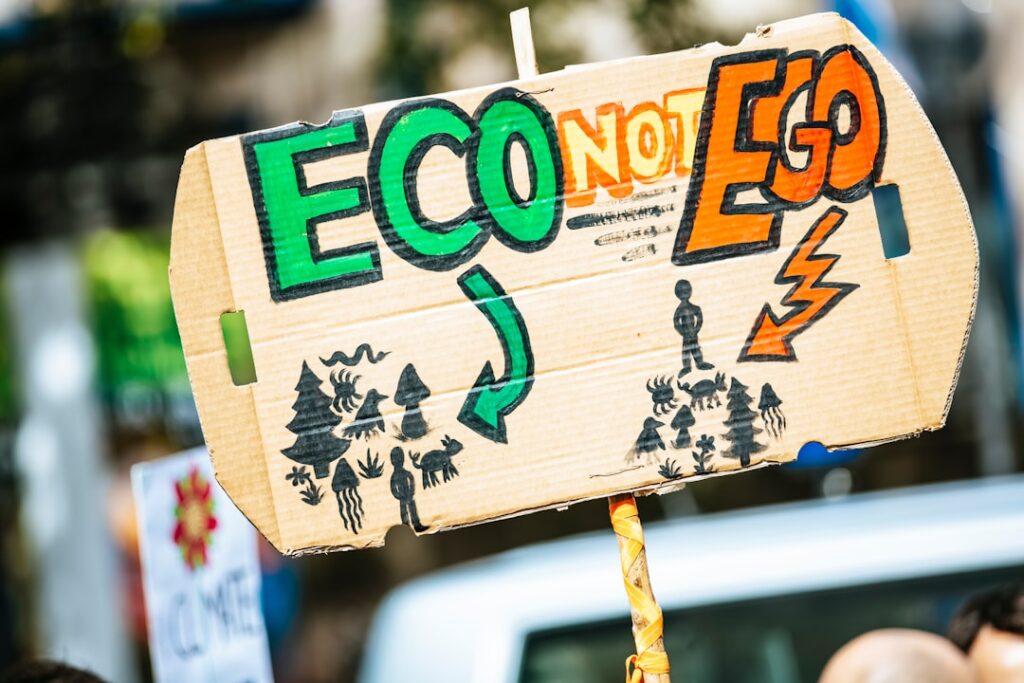 Environmental regulation and public accountability in the UK