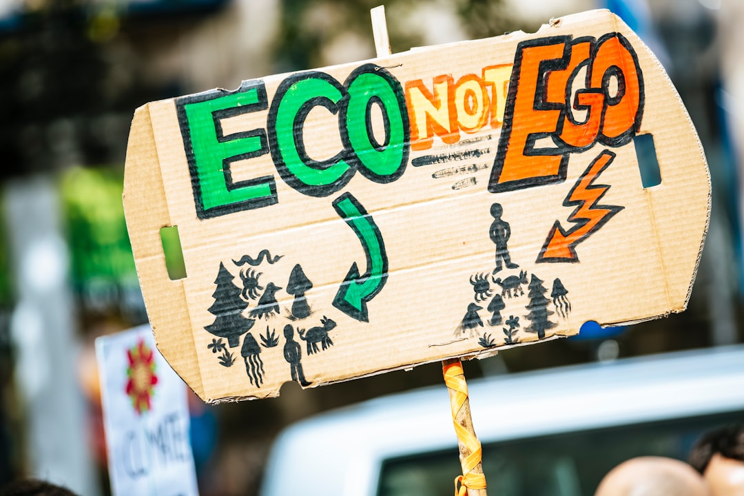 Environmental Regulation UK and Public Accountability