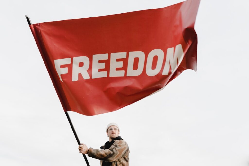 Freedom of information and public transparency in the UK