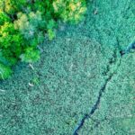 Green Belt Policy and Planning Pressure