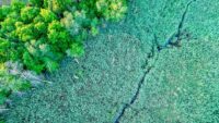 Green Belt Policy and Planning Pressure
