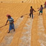 Migration and Labour in the UK Economy