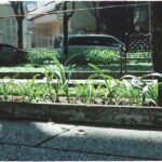 Weatherwatch: Paving over front gardens is leading to hotter nights